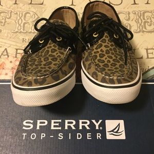Leopard Sperry Topsiders